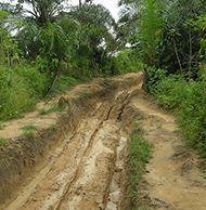 Mamfe-Ekok Road